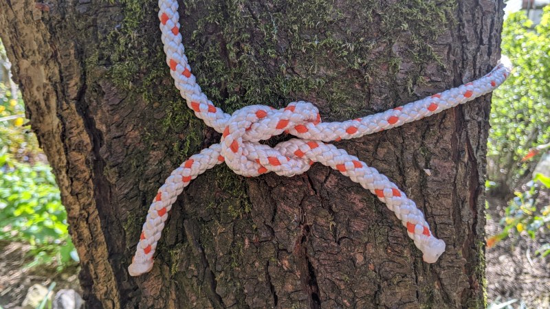 A reef knot is tied against a tree.