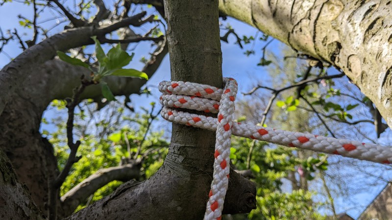 A no-knot tied around a tree.