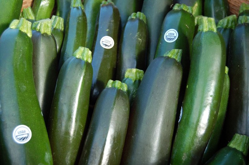 Green zucchini