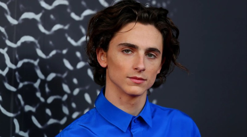 Timothy Chalamet with curly hair