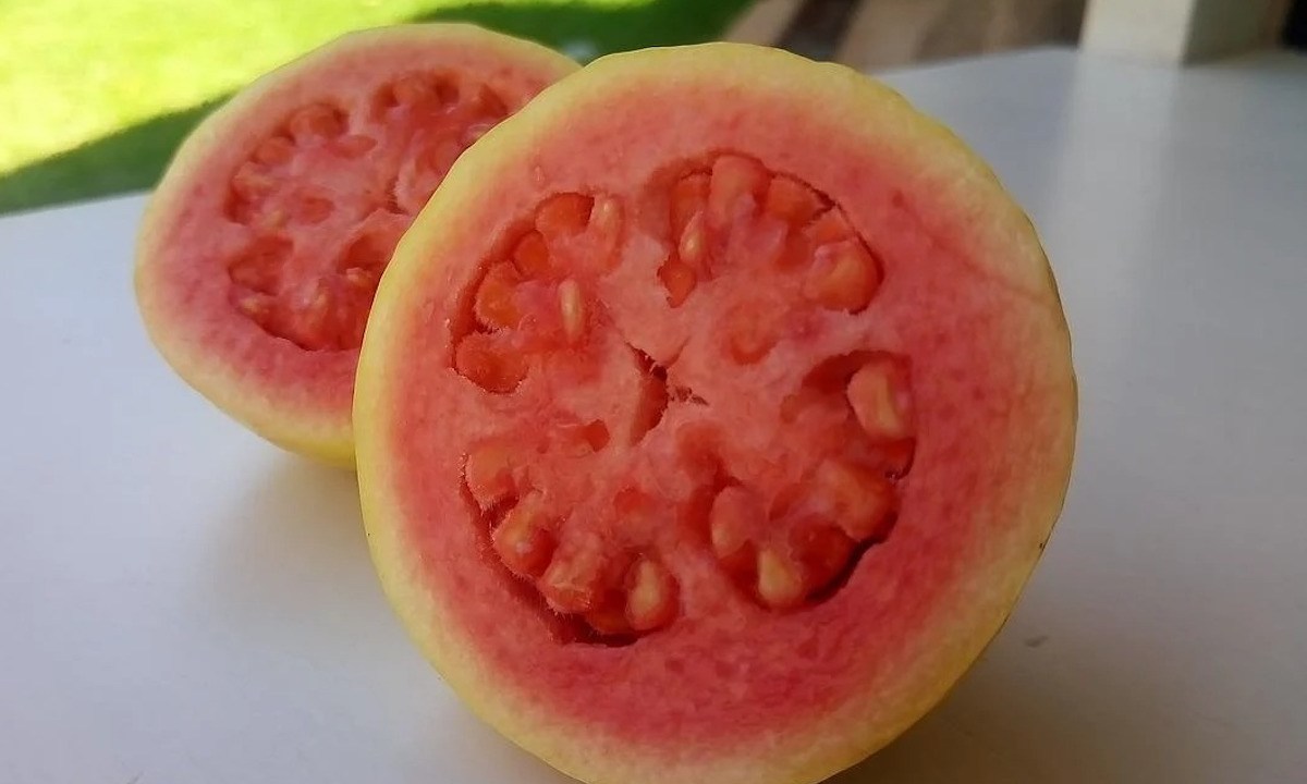 Sliced fresh guava