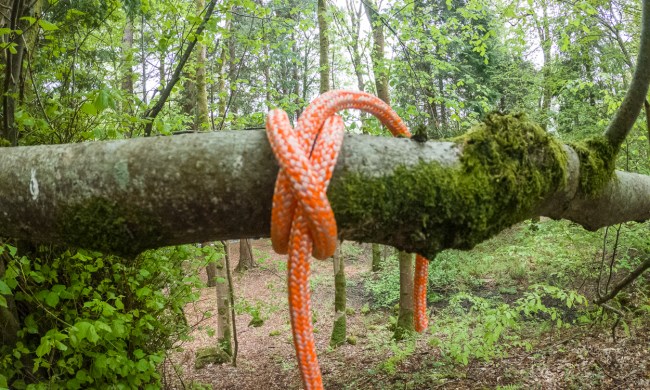 A clove hitch tied to a fixed point