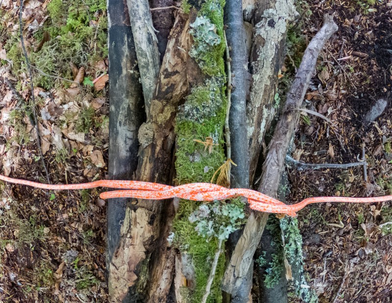 Step 3 of tying a square knot around a bundle of wood