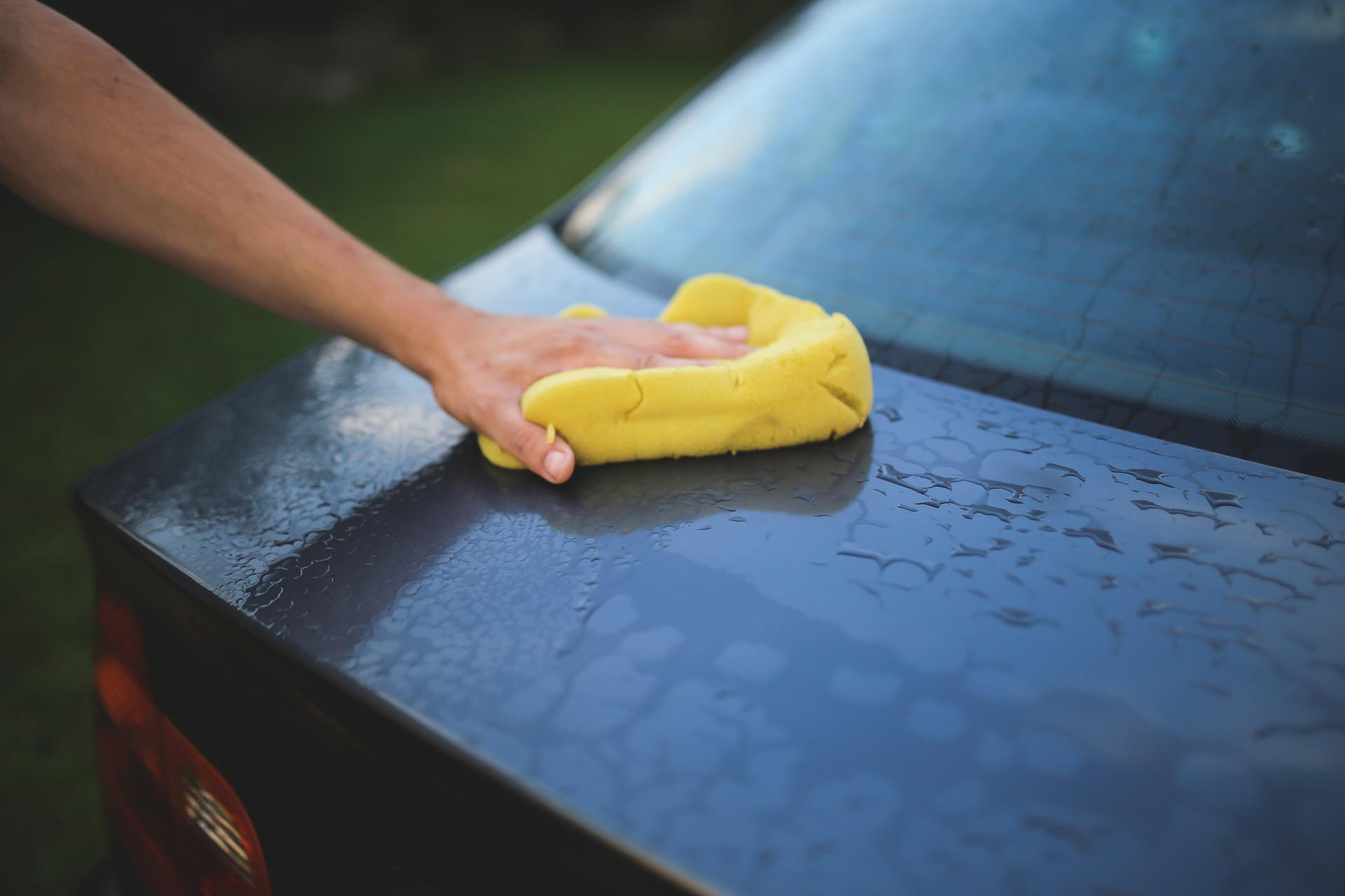 El propietario del automóvil seca la tapa del maletero del Honda Civic después de lavar el automóvil en un campo cubierto de hierba.