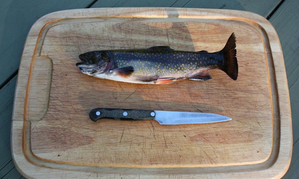 A fresh-caught rainbow trout sits awaiting an adjacent knife on a cutting board