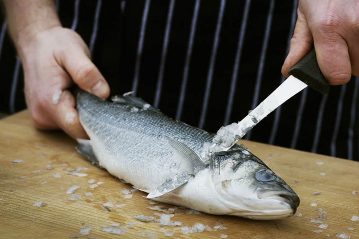 How to clean a fish for beginners: The complete guide - The Manual