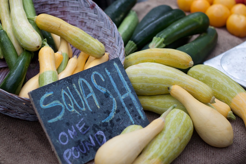  The 9 Best Summer Squashes to Cook With This Summer