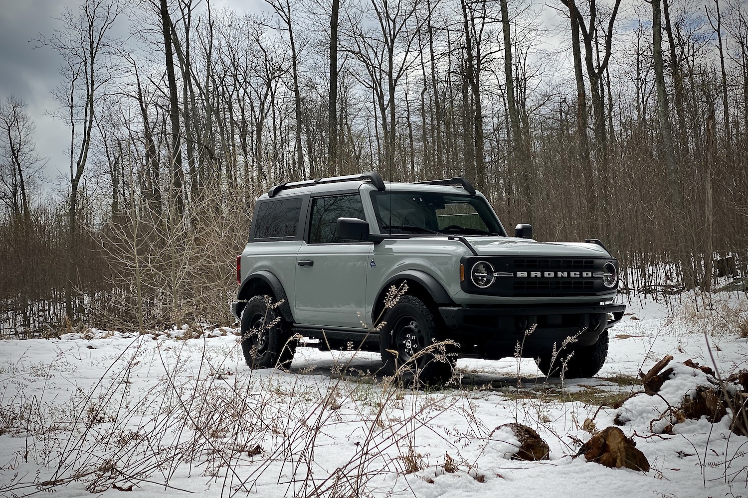 Front end view of 2021 Ford Bronco from passenger side with brown shrubs in the front on a snowy field.