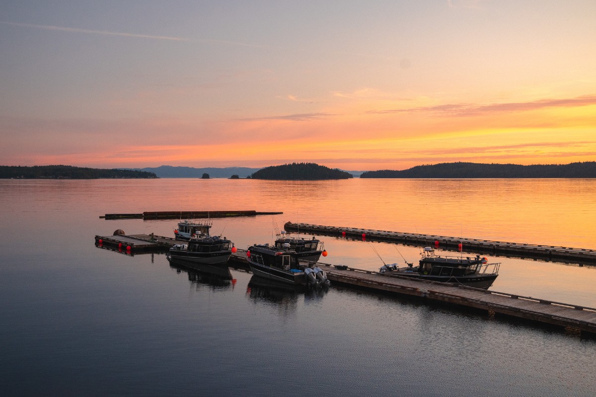 A sunset view of the water and fishing boats outside of the Salmon Falls Resort on the Ketchikan Peninsula in Alaska