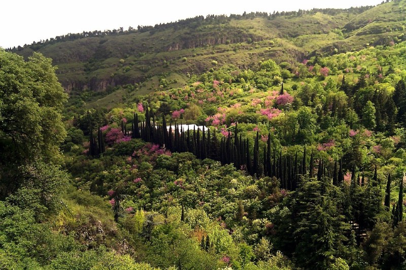 Tbilisi's National Botanical Garden of Georgia in Tbilisi is concealed from view as it resides among the hills of the Sololaki Range