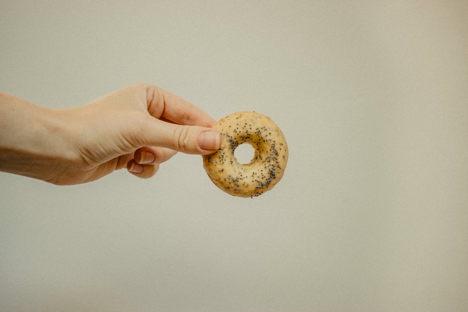 Lemon poppy seed bagel