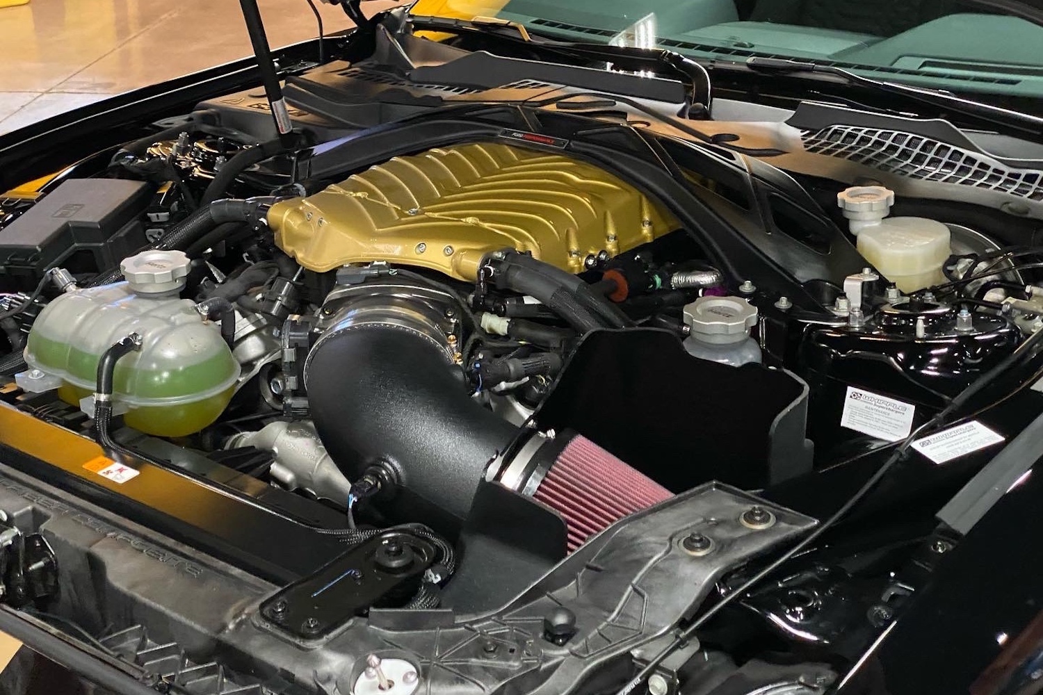 2022 Shelby GT500-H engine bay close up on gold supercharger sitting on top of V8 engine.