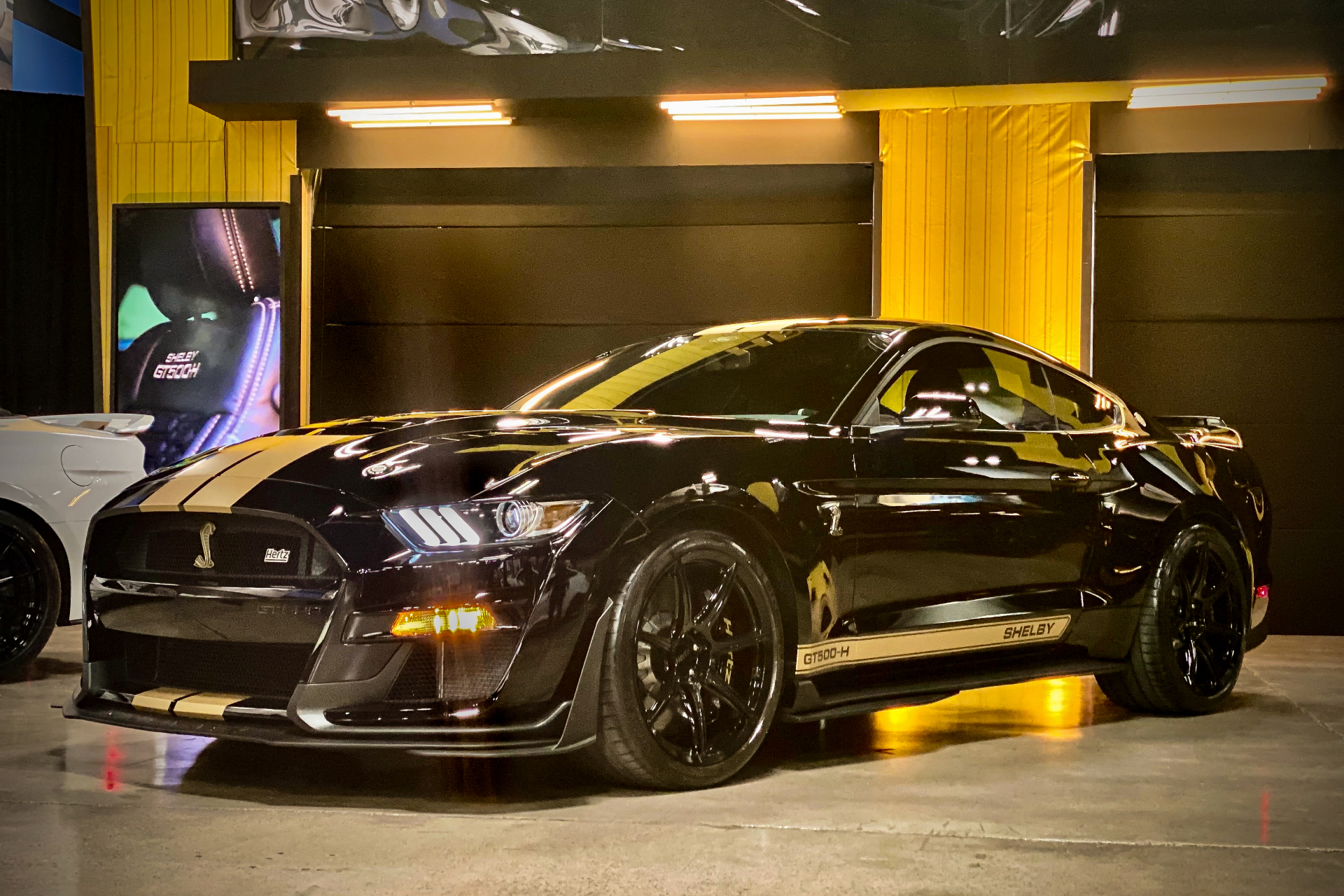2022 Shelby GT500-H in a studio under bright lights on a cement floor with gold lights in the back.