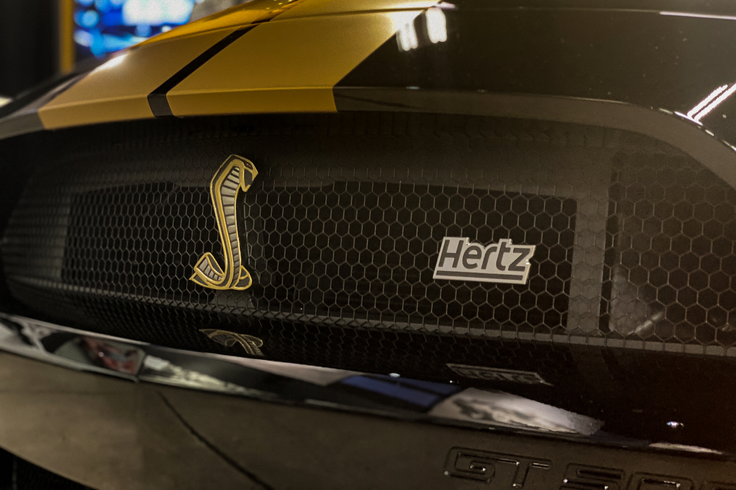 Close up of 2022 Shelby GT500-H front grille with gold Cobra badge and Hertz badge with car in a garage.