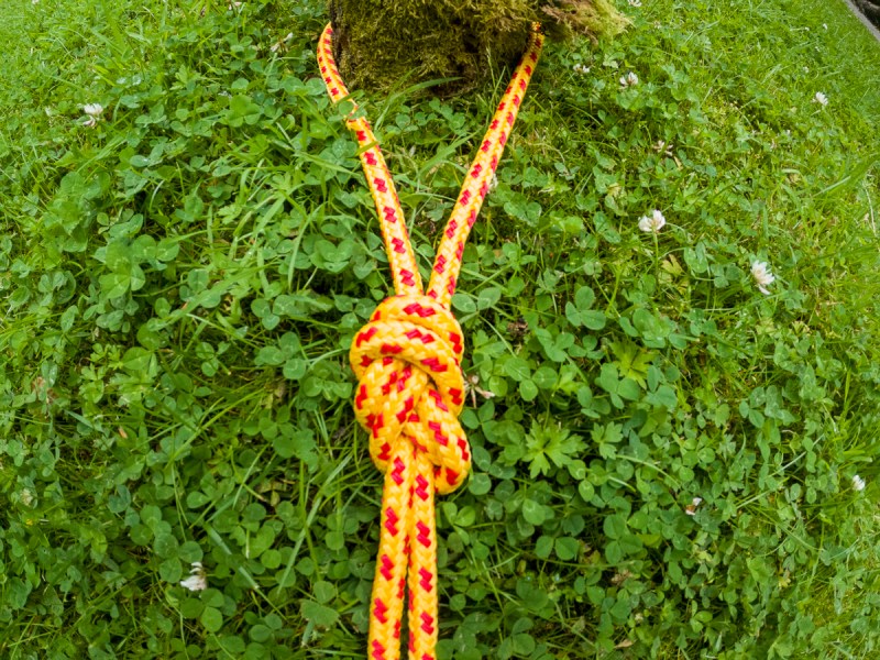 A figure eight knot in yellow and red rope tied around a tree stump, laid on the grass