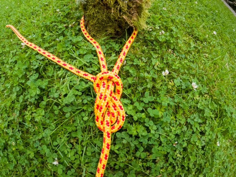 A fully tied figure eight knot being rethreaded. Yellow and red rope tied around a stump on the grass.