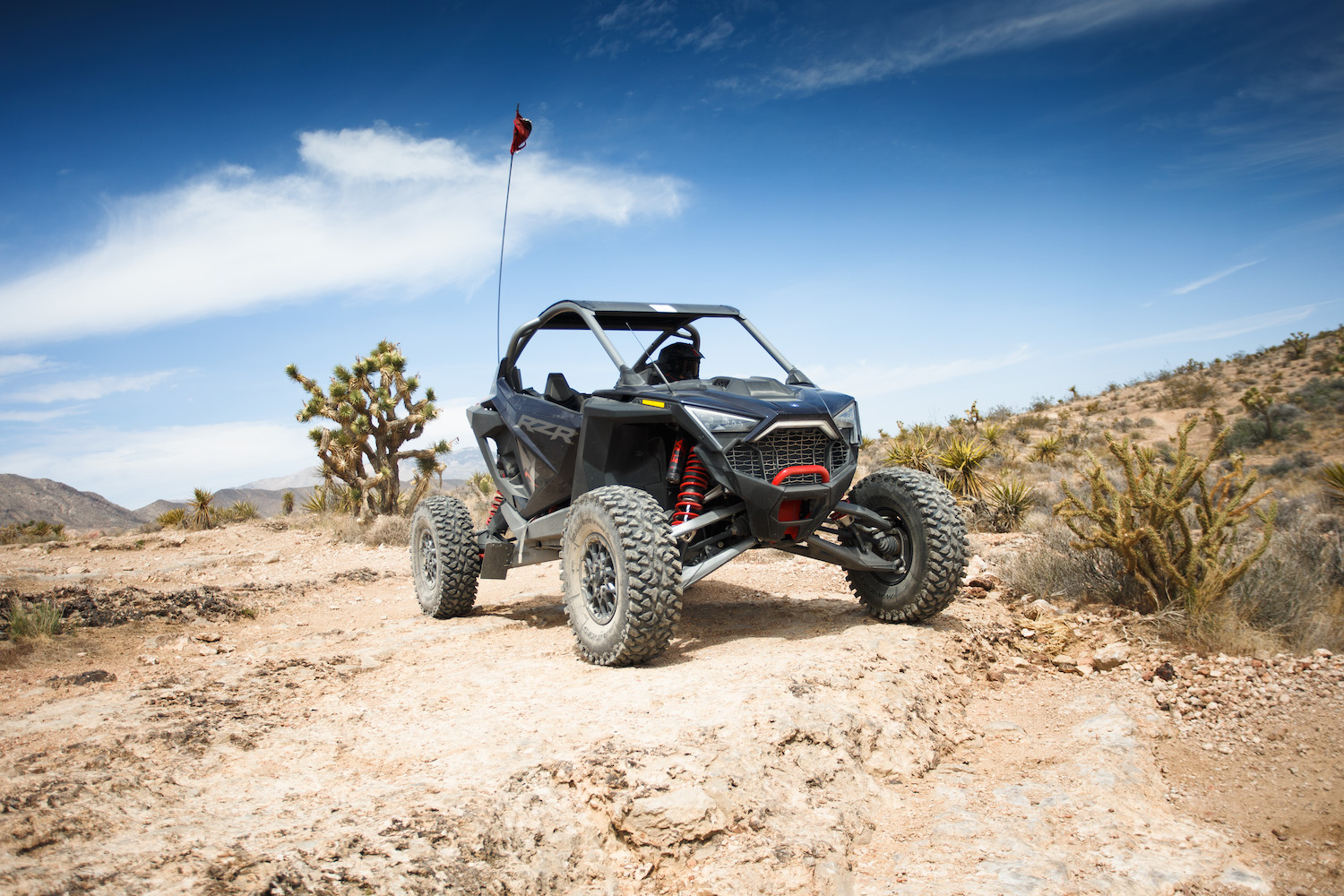 Polaris RZR Pro R front end driving on a dirt path in the desert with cactus in the background.