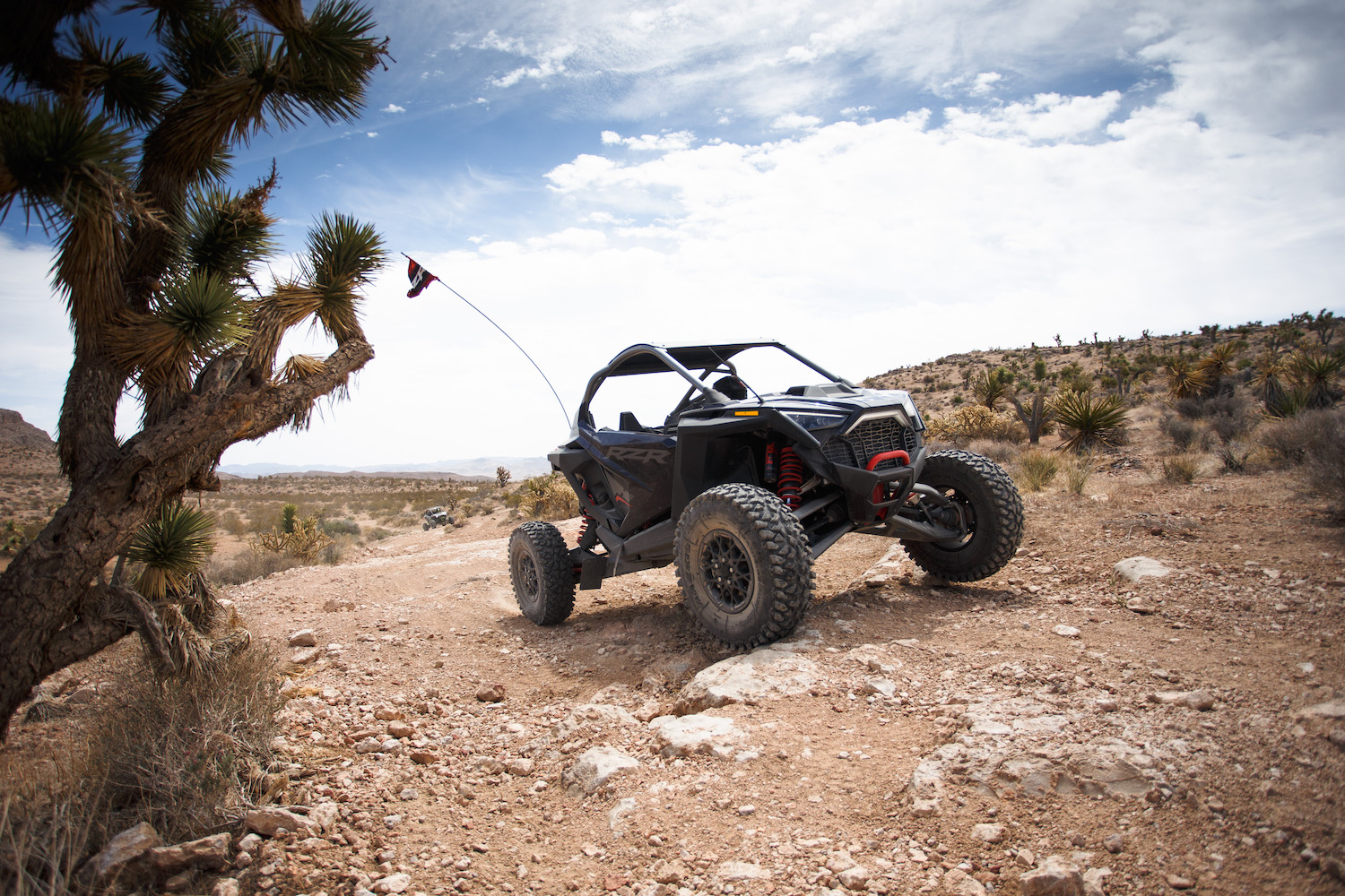 Close up of Polaris RZR Pro R front end driving up a rocky trail in the desert in front of a cactus.