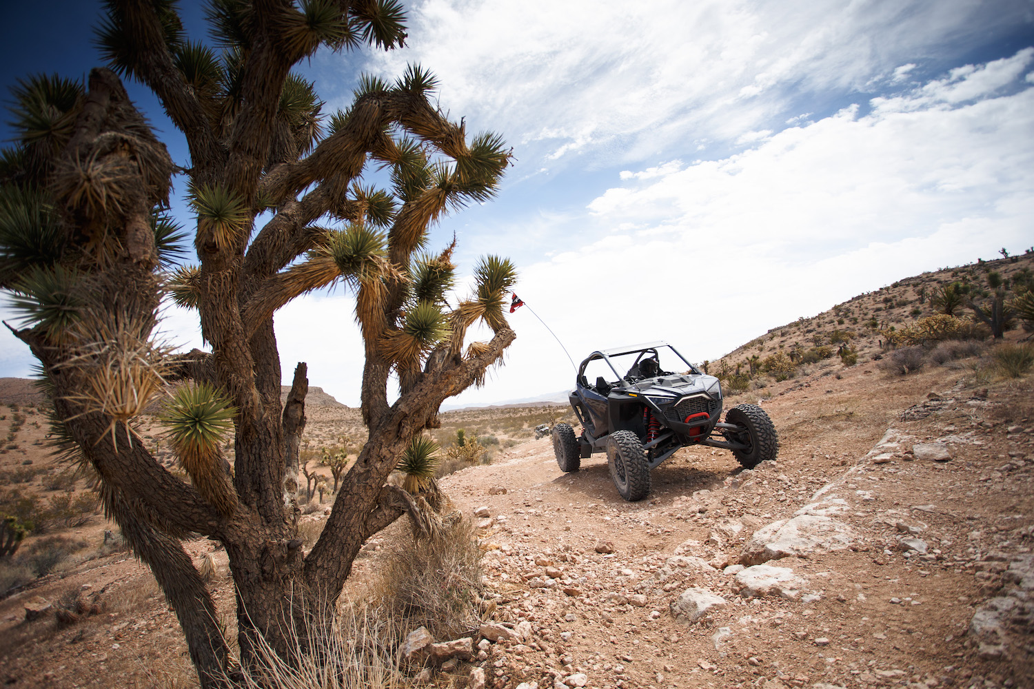 Polaris RZR Pro R driving up a rocky path in the desert with a close up of a cactus.