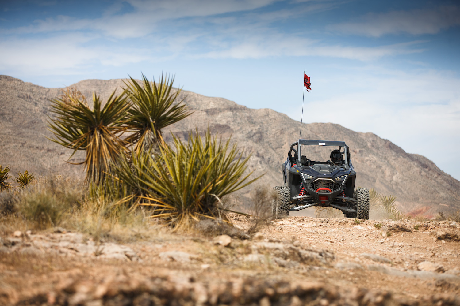 Polaris RZR Pro R in front of bushes in the desert with a mountain in the background.