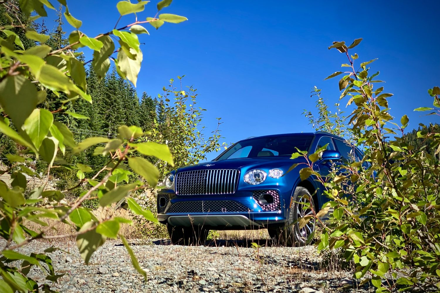 Front end of 2023 Bentley Bentayga EWB in between bushes with blue skies in the back on a gravel path.