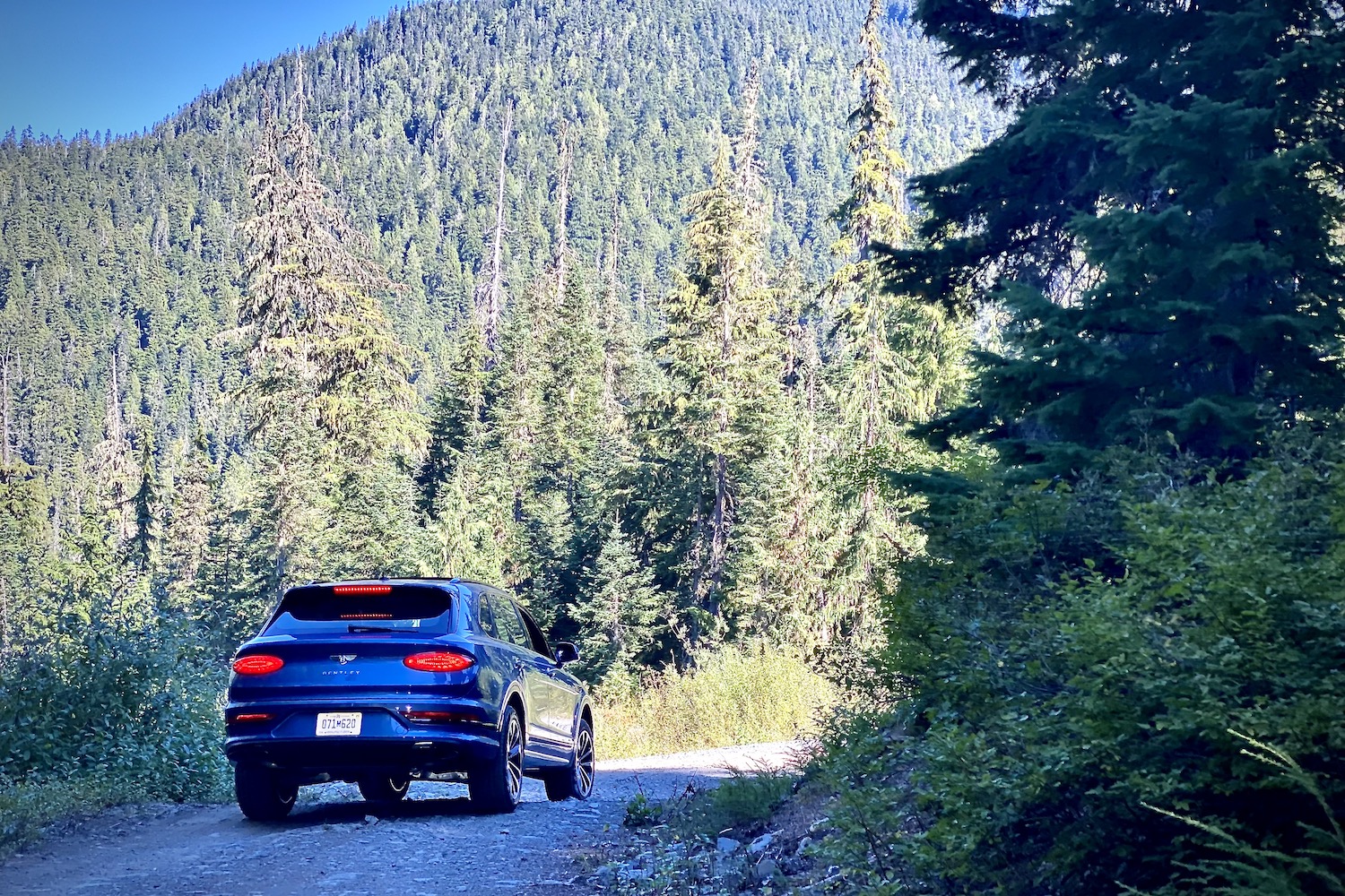 2023 Bentley Bentayga EWB off-roading through the woods on a gravel trail.
