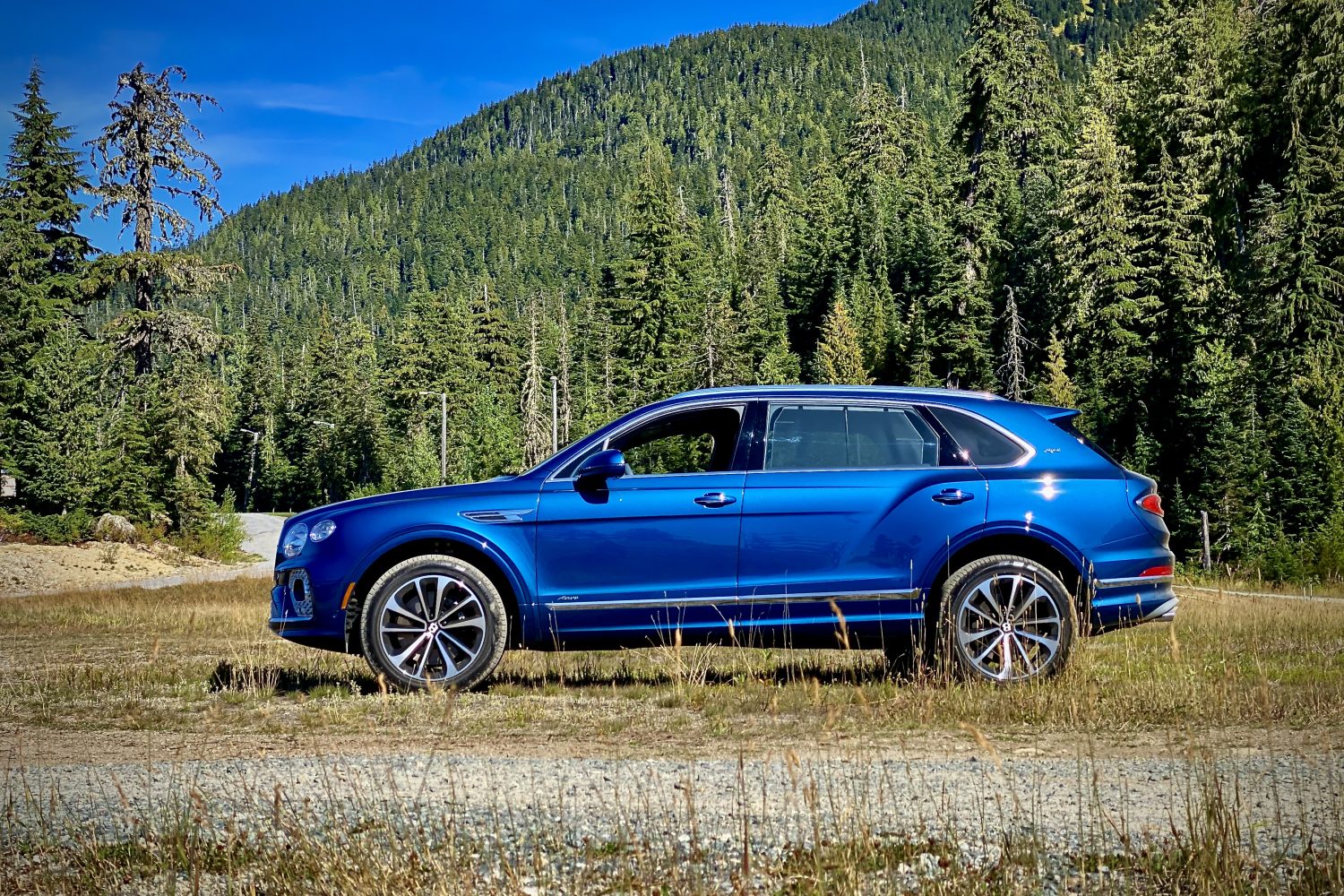 Side view of 2023 Bentley Bentayga EWB on a grassy field with green trees and mountains in the back.