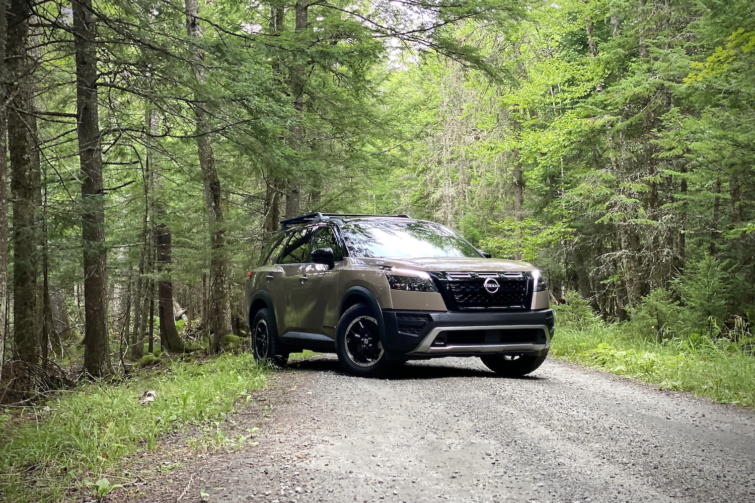 2023 Nissan Pathfinder Rock Creek on a dirt trail with trees on the side from front passenger side angle