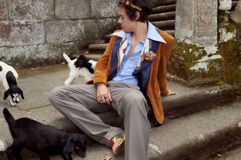 Harry Styles sits with baby goats.