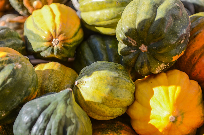 Acorn squash