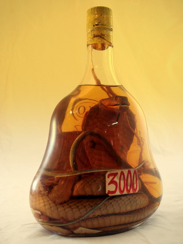 bottle of snake wine