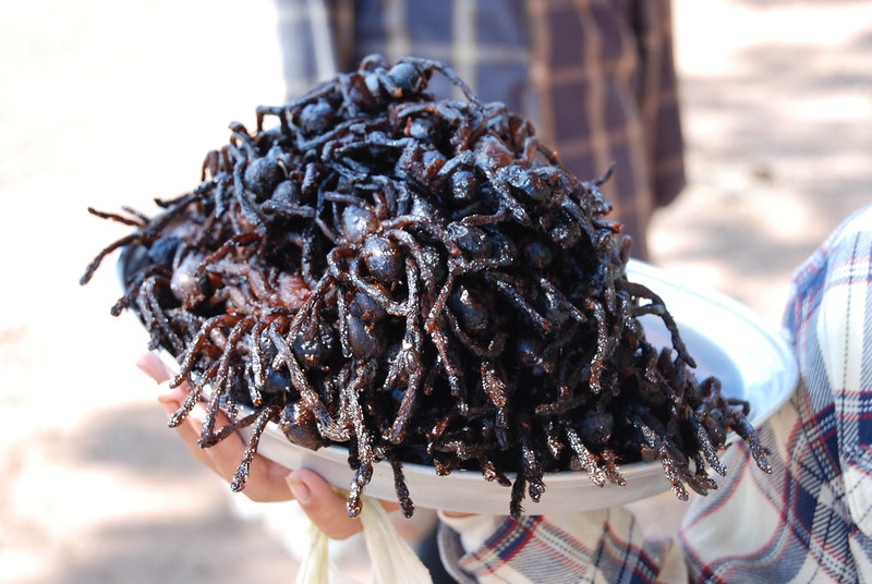 plate of fried tarantulas
