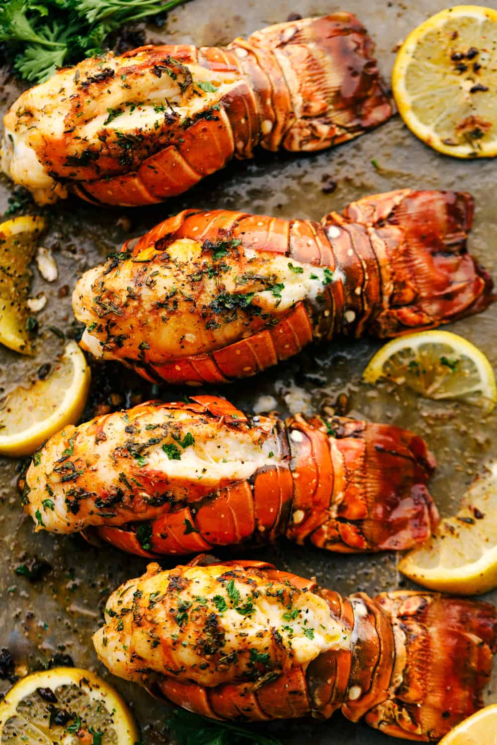 broiled lobster