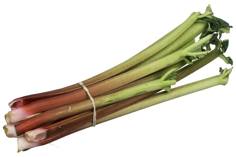 Rhubarb stalks