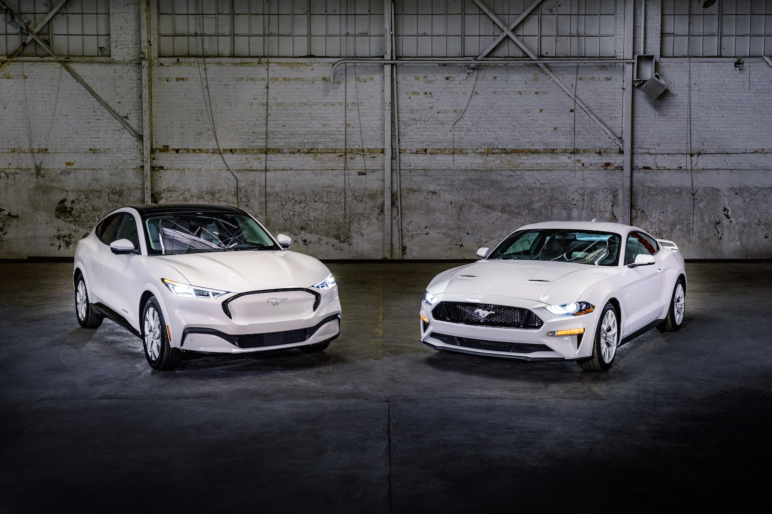 2022 Ford Mustang Mach-e and Mustang in an empty warehouse.
