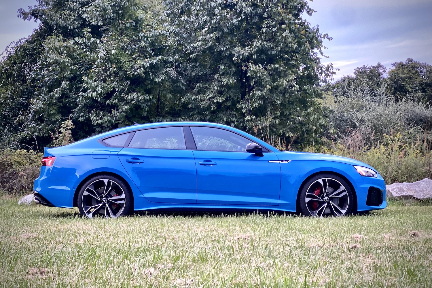 Side profile of 2023 Audi S5 Sportback in a grassy field with trees in the back.
