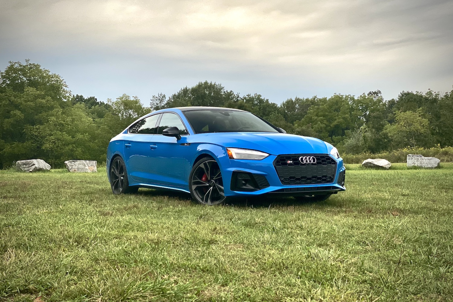 Angle of 2023 Audi S5 Sportback from passenger's side in a grassy field with trees in the back.