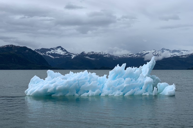 iceberg melting in the arctic