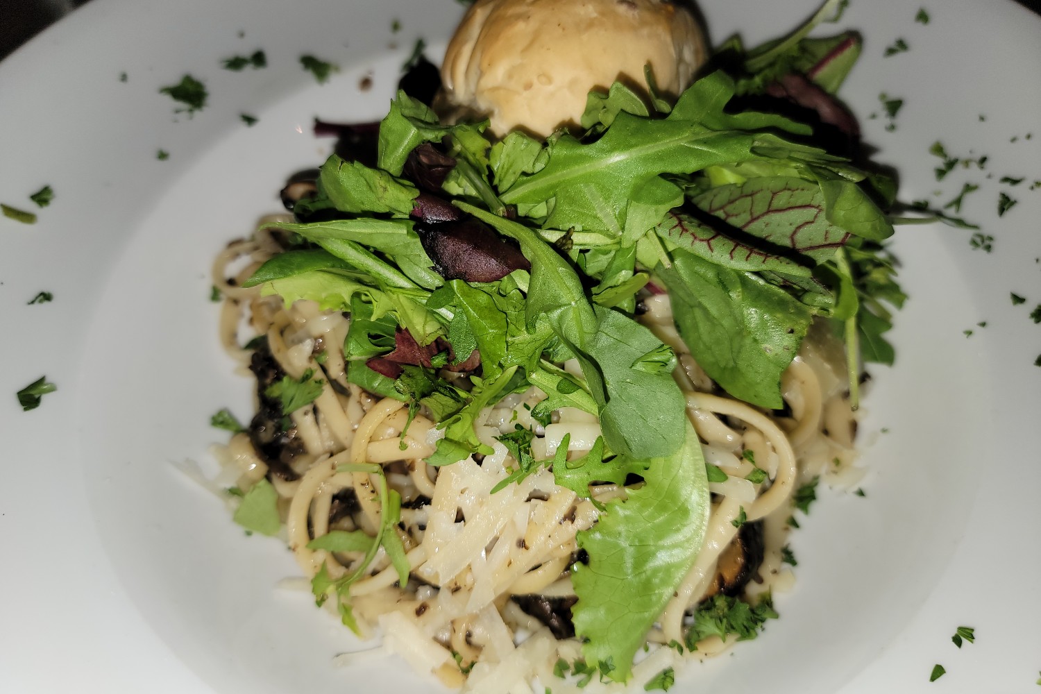 A pasta dinner at Club Trocadero Bonaire in Kralendijk, Bonaire, Caribbean Netherlands.
