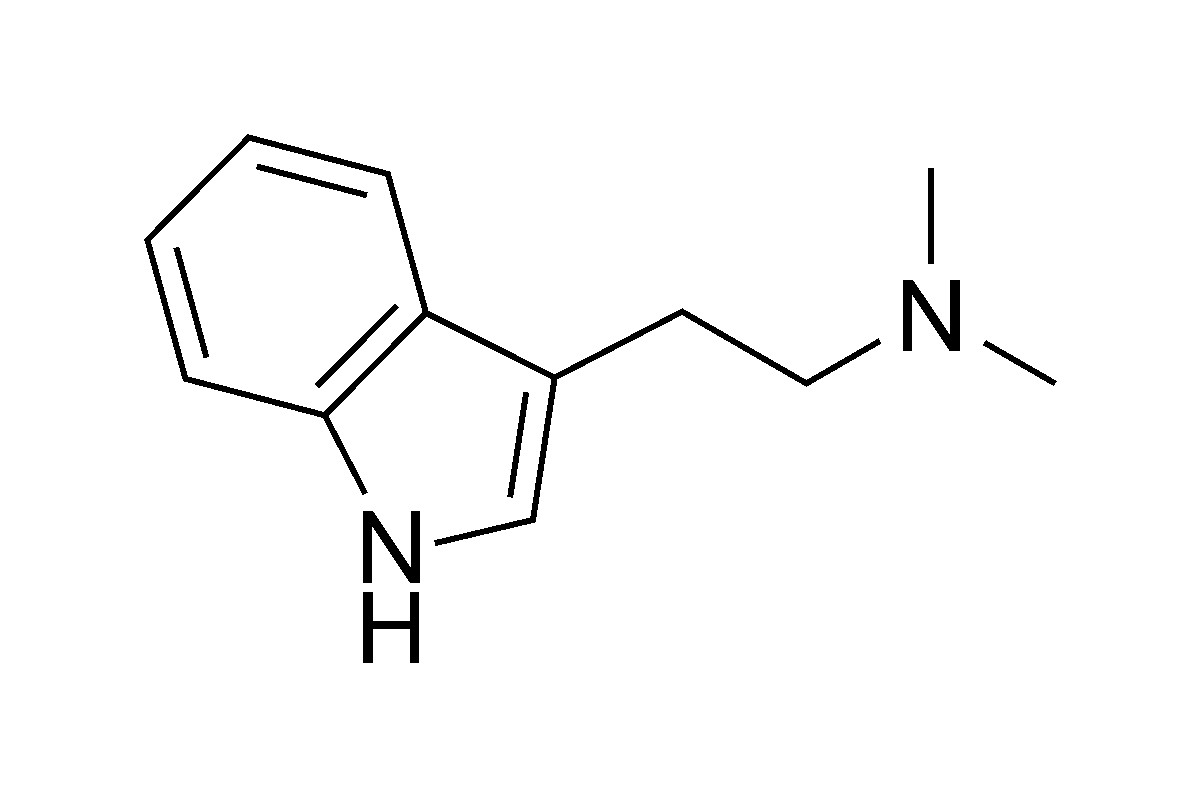 minus sortere Gepard What is DMT? Learn why this powerful drug is unlike other psychedelics -  The Manual