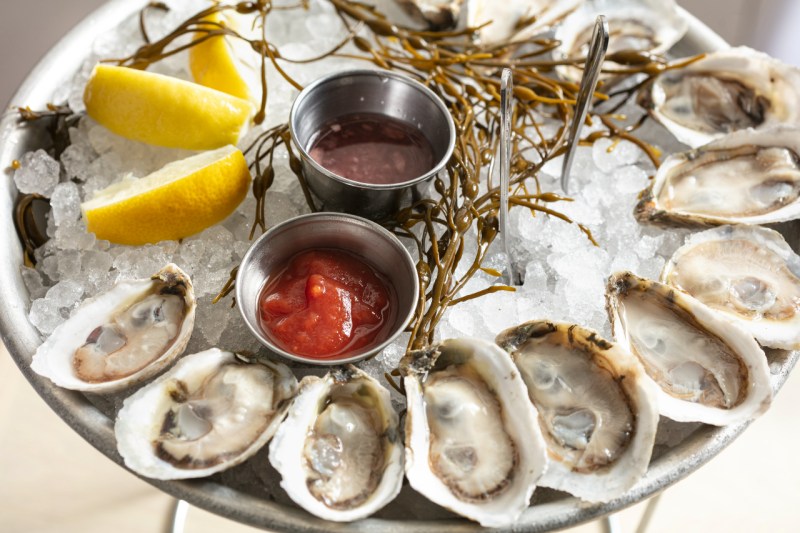 Plate of oysters on ice.