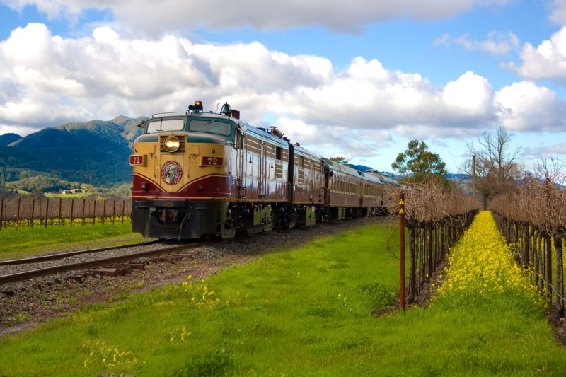 Head-on view of the Napa Valley Wine Train.