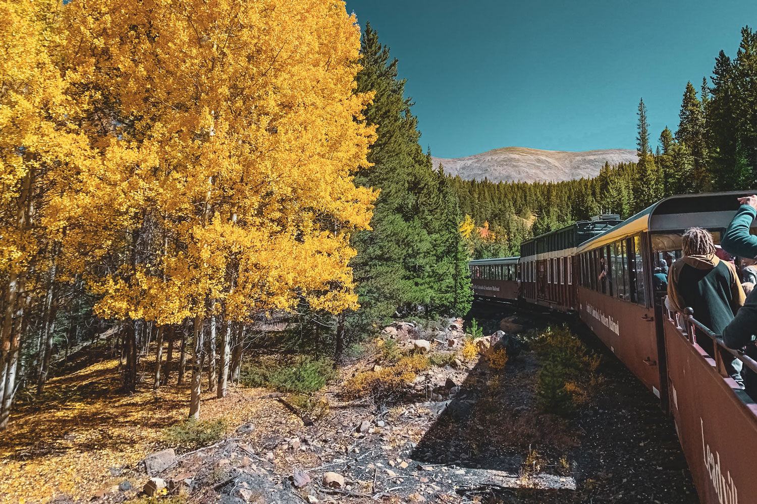 People taking photos on scenic train ride through Colorado.