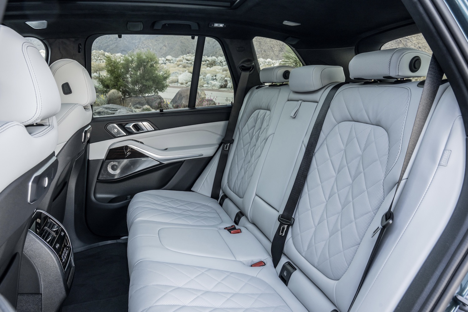Rear seats in the 2024 BMW X5 and X6 from the outside driver's side with bushes in the back.