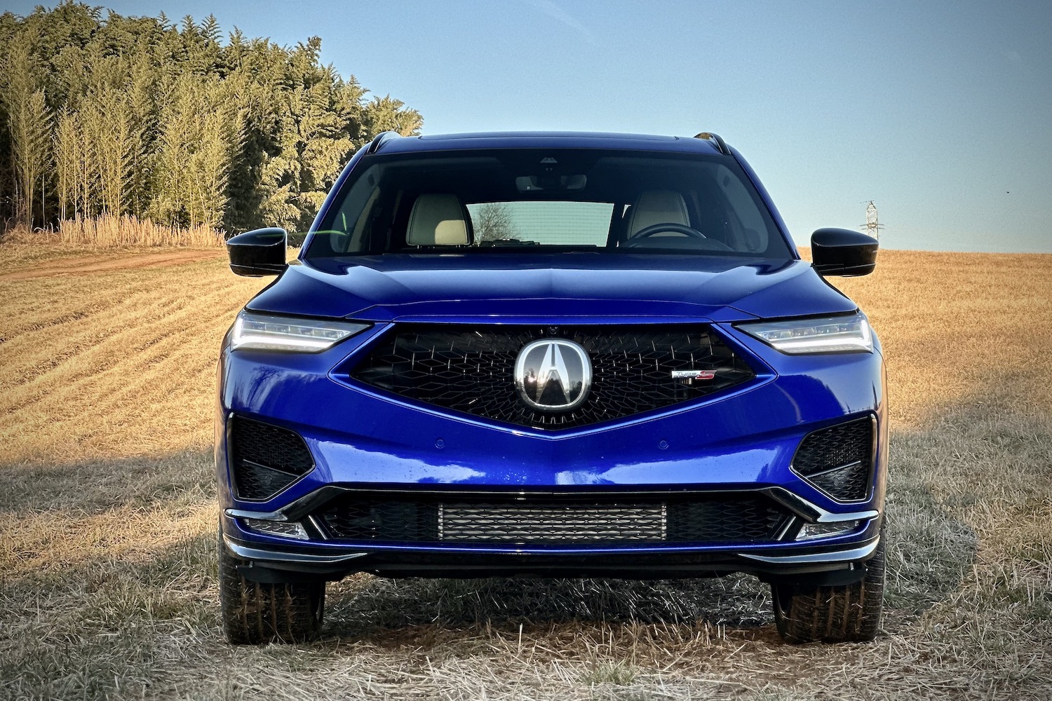 Close up of front end of the 2022 Acura MDX Type S parked in a hay field with trees in the back.