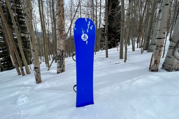 burton family tree hometown hero snowboard review