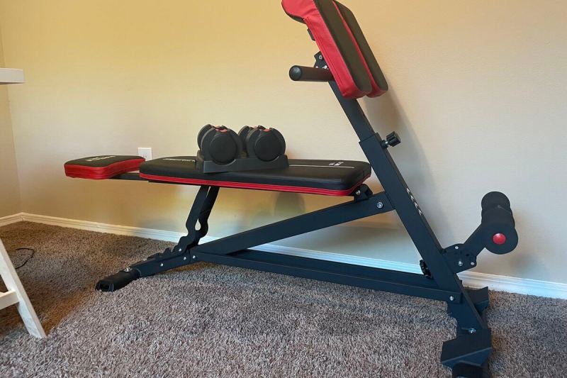 Flybird Fitness weight bench and dumbbells.