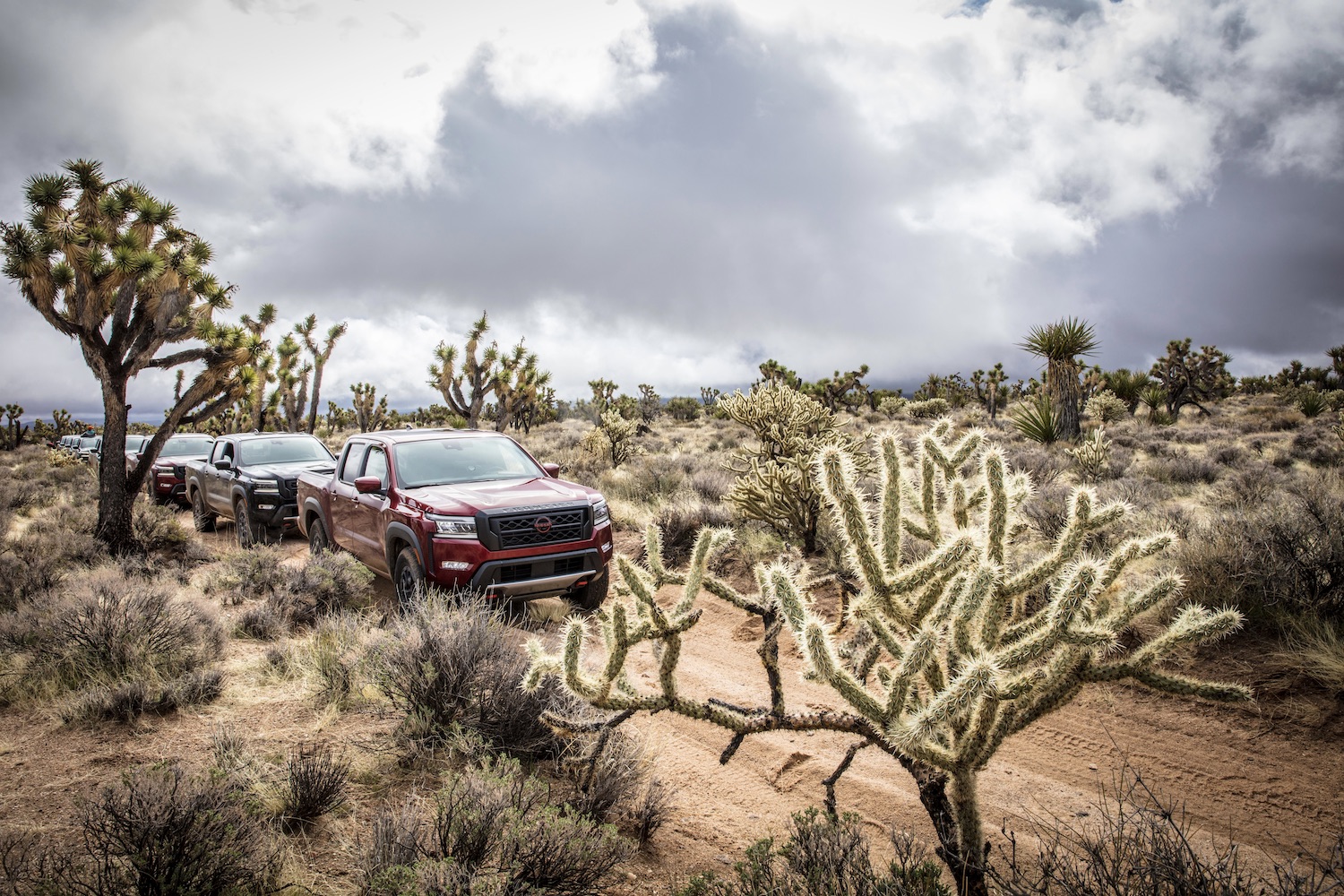 2022 Nissan Frontier Pro-4X on a dirt trail in front of Joshua trees in the desert.