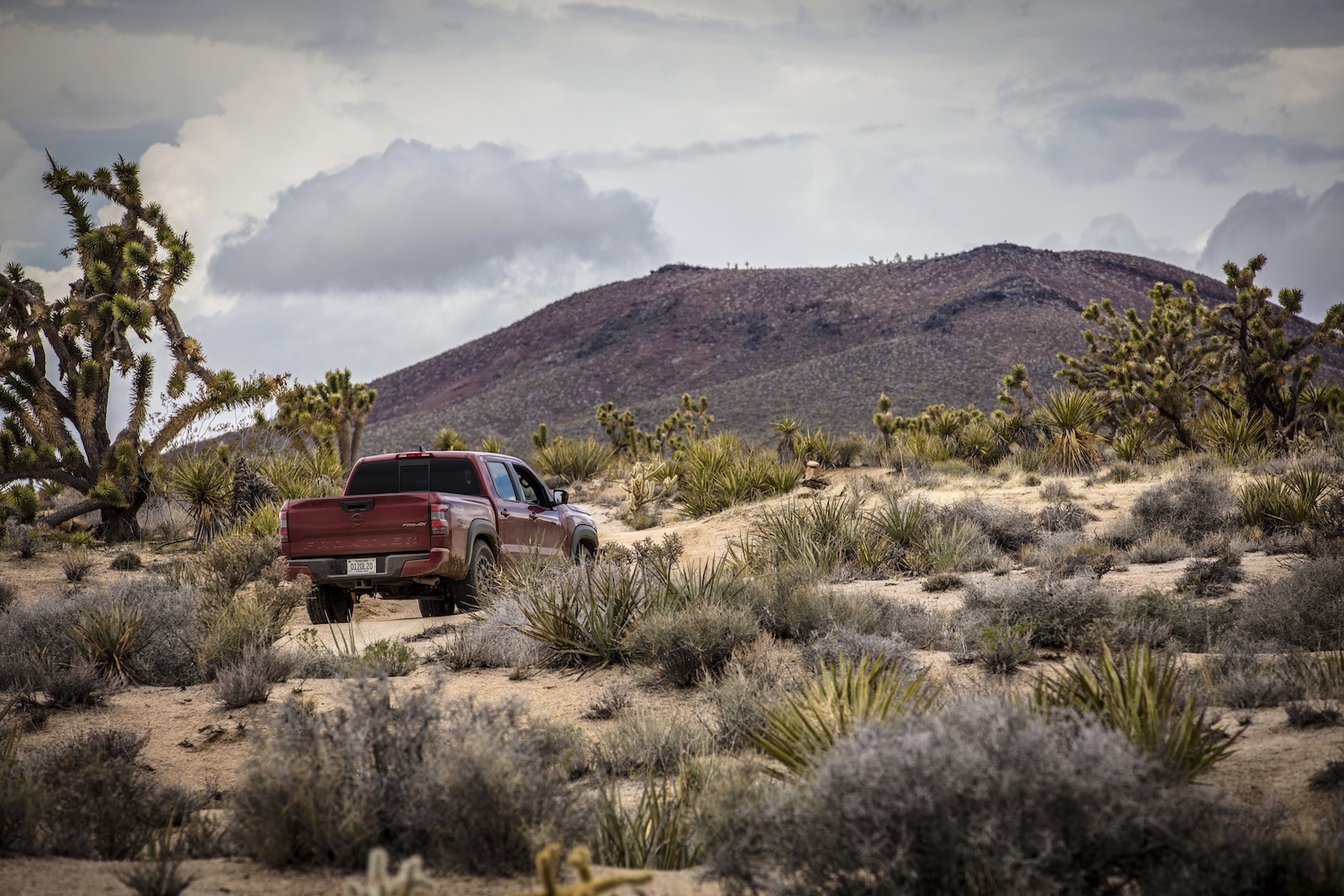 Rear end angle of the 2022 Nissan Frontier Pro-4X parked in the middle of the desert with a mountain in the back.