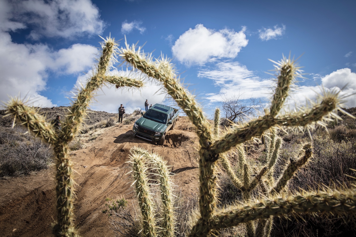 2022 Nissan Frontier Pro-4X off-roading down a steep hill positioned in the middle of cacti.